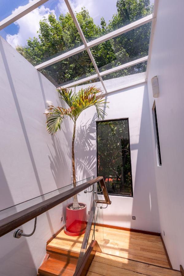 Casa Blanca In Coyoacan メキシコシティ エクステリア 写真