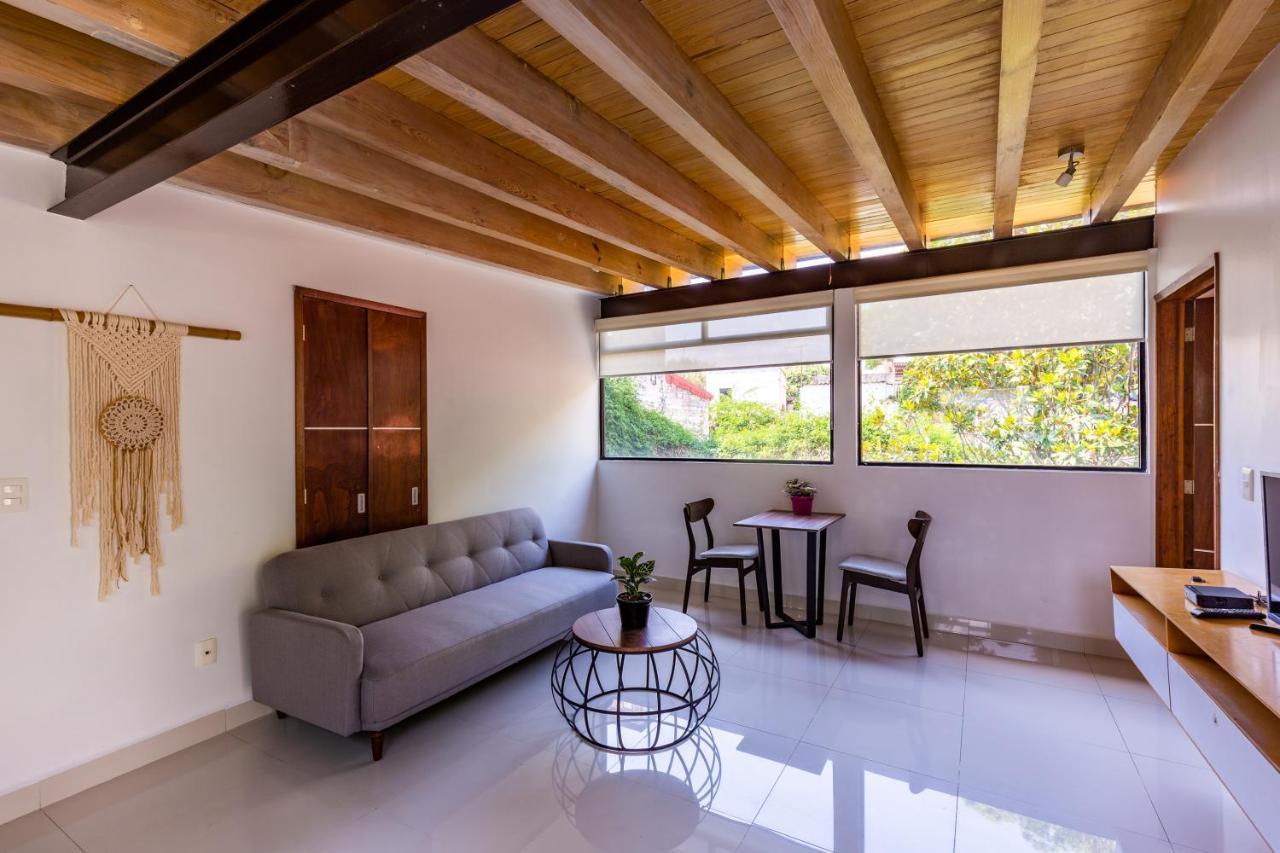 Casa Blanca In Coyoacan メキシコシティ エクステリア 写真